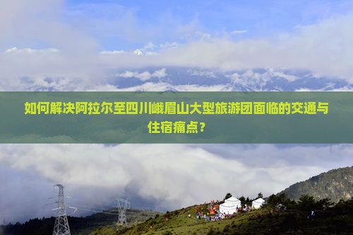 如何解决阿拉尔至四川峨眉山大型旅游团面临的交通与住宿痛点？