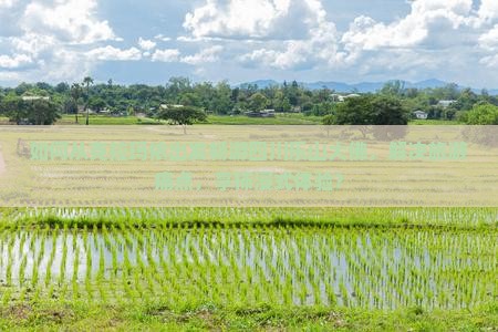 如何从克拉玛依出发畅游四川乐山大佛，解决旅游痛点，享柿浸式体验？