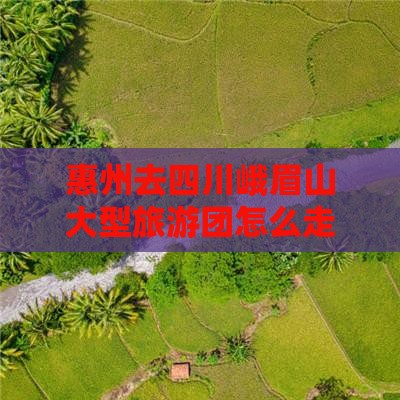 惠州去四川峨眉山大型旅游团