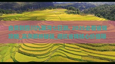 自贡到四川九寨沟七日游