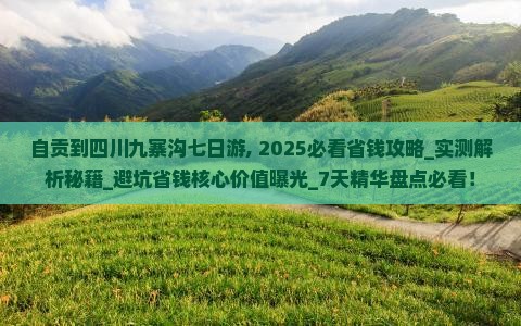 自贡到四川九寨沟七日游