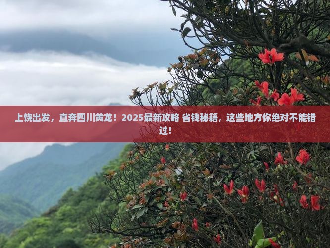 上饶到四川黄龙哪里玩