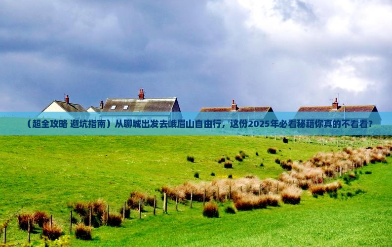 聊城到四川峨眉山自由团