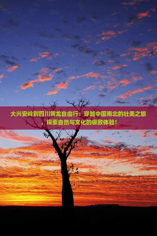 大兴安岭到四川黄龙自由行