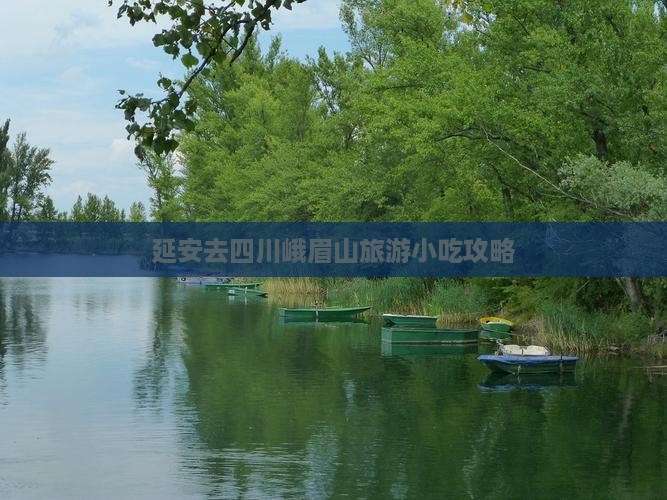 延安去四川峨眉山旅游小吃