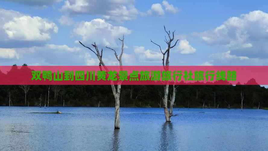 双鸭山到四川黄龙旅行社
