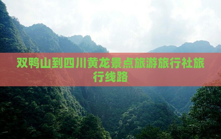 双鸭山到四川黄龙旅行社