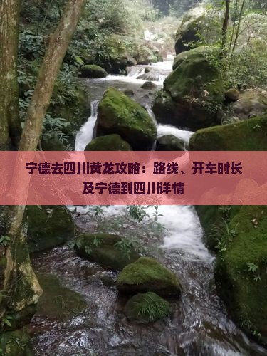 宁德去四川黄龙攻略