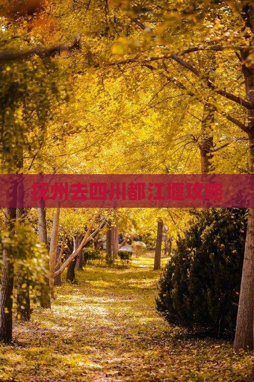 抚州去四川都江堰攻略