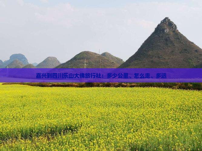 嘉兴到四川乐山大佛旅行社
