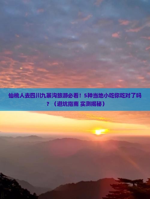 仙桃去四川九寨沟旅游小吃