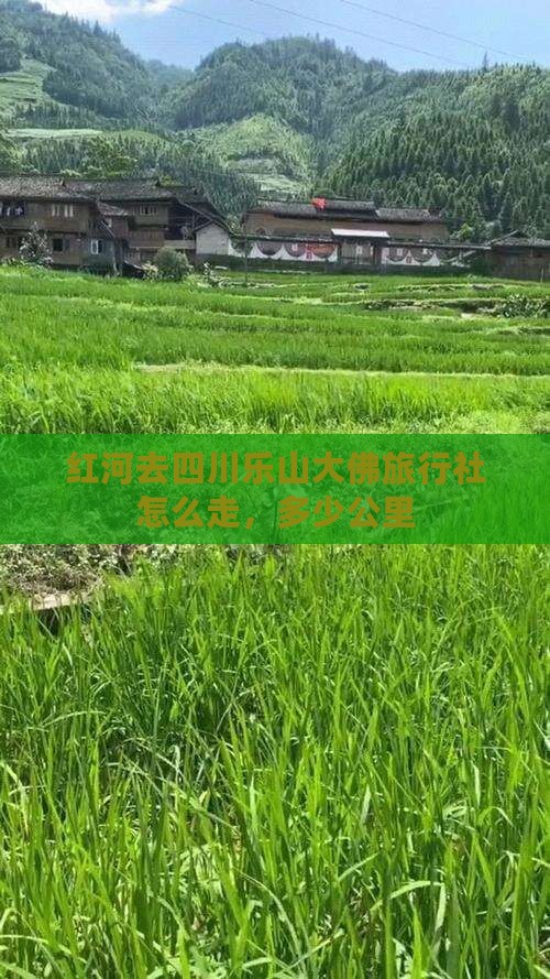 红河去四川乐山大佛旅行社