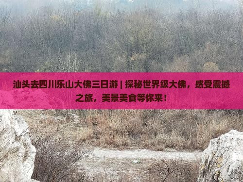 汕头去四川乐山大佛三日游