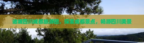 诸城去四川成都大型旅游团