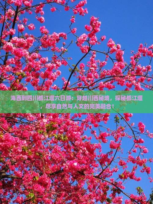 海西到四川都江堰六日游