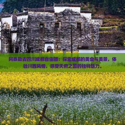 阿泰勒去四川成都自由团