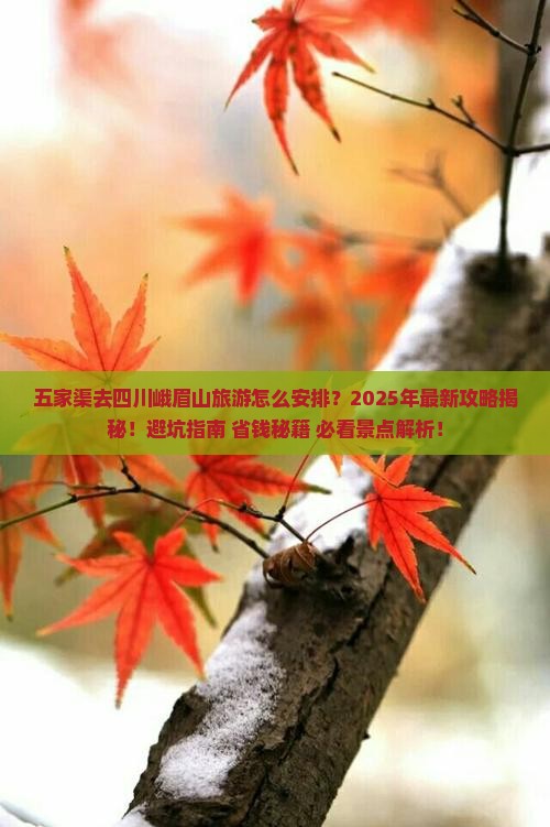 五家渠去四川峨眉山旅游