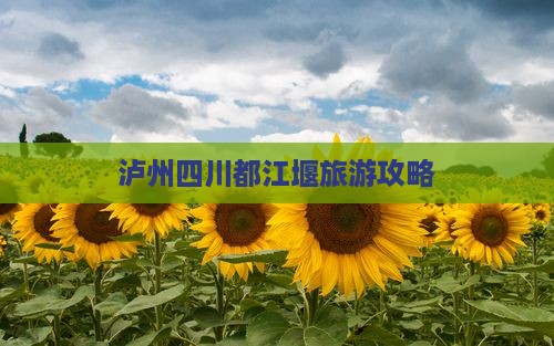 泸州去四川都江堰自由团