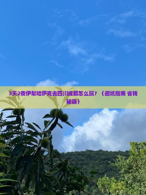 伊犁哈萨克去四川成都旅行社