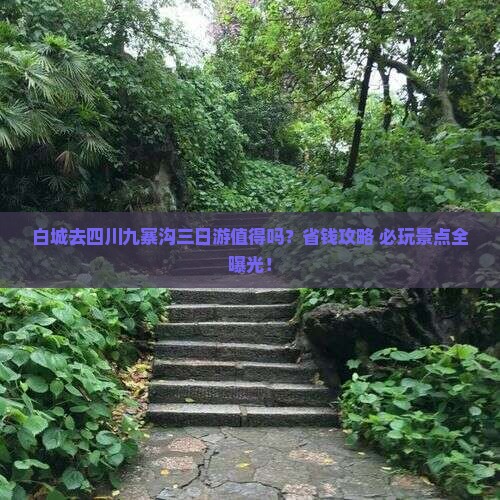 白城去四川九寨沟三日游