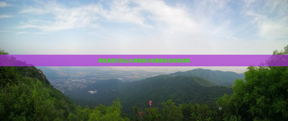 孝感去四川乐山大佛旅游小吃