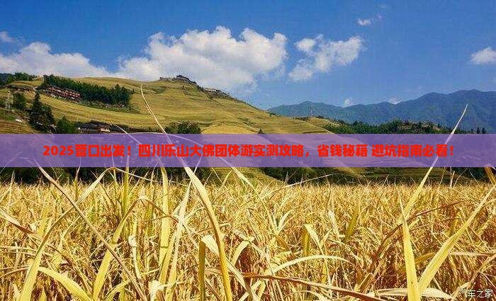 营口去四川乐山大佛团体旅游