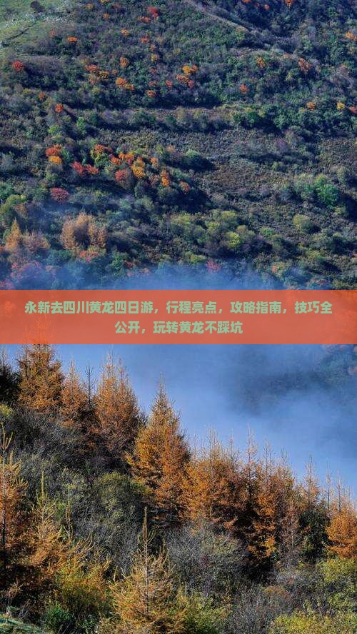 永新去四川黄龙四日游