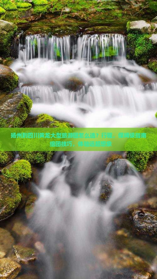 扬州到四川黄龙大型旅游团