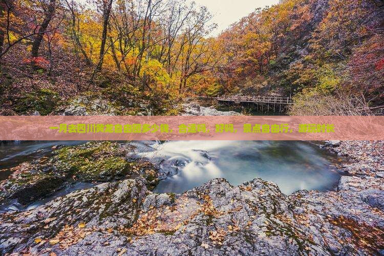 一月去四川黄龙自由团