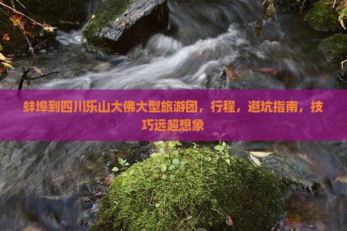 蚌埠到四川乐山大佛大型旅游团