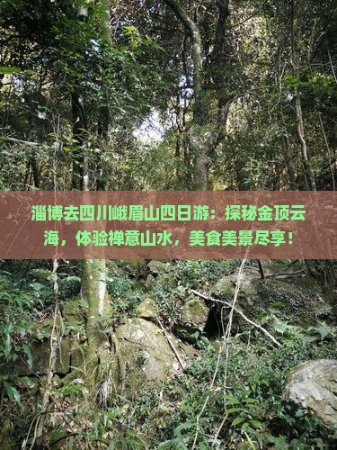 淄博去四川峨眉山四日游