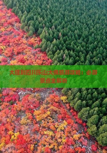 大理去四川乐山大佛景点