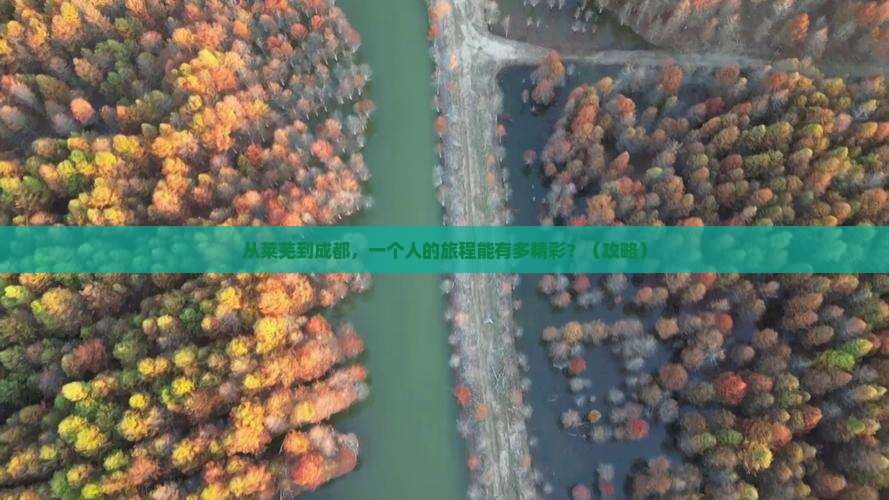 莱芜去四川成都个人游