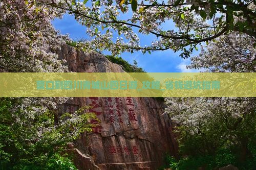 营口到四川青城山四日游