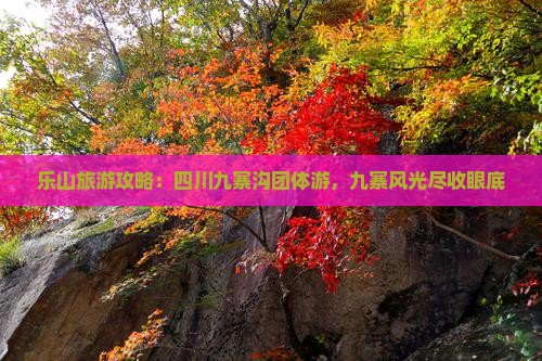 乐山到四川九寨沟团体旅游