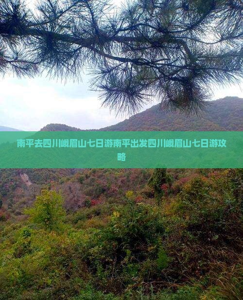 南平去四川峨眉山七日游