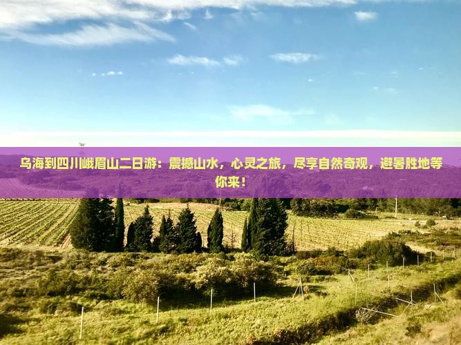 乌海到四川峨眉山二日游