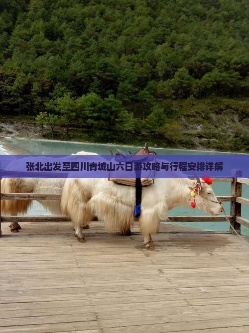 张北出发至四川青城山六日游攻略与行程安排详解