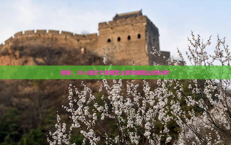 朋友，20人通辽大家庭怎么策划峨眉山欢乐游？