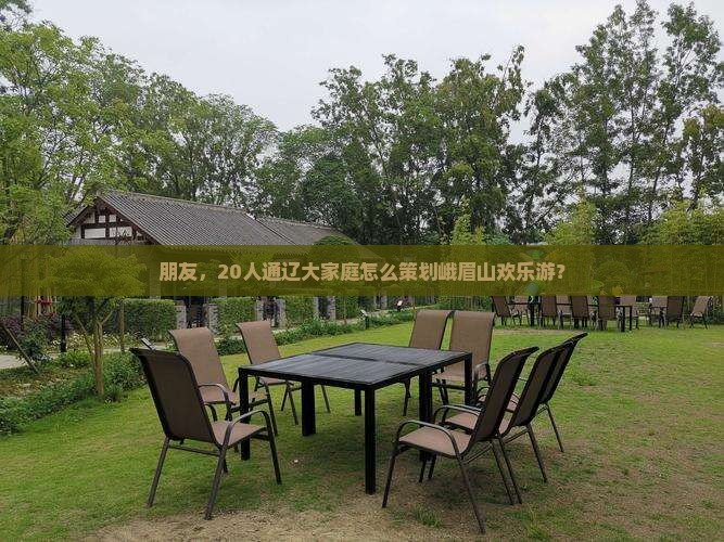朋友，20人通辽大家庭怎么策划峨眉山欢乐游？