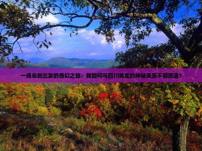 一场阜新出发的奇幻之旅：我如何与四川黄龙的神秘美景不期而遇？