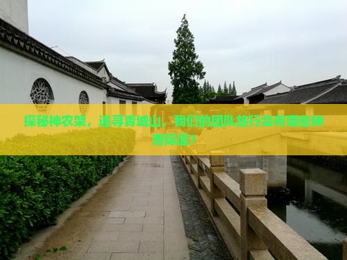 探秘神农架，追寻青城山，我们的团队旅行会有哪些神奇际遇？