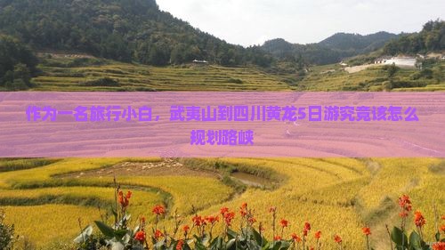 作为一名旅行小白，武夷山到四川黄龙5日游究竟该怎么规划路峡