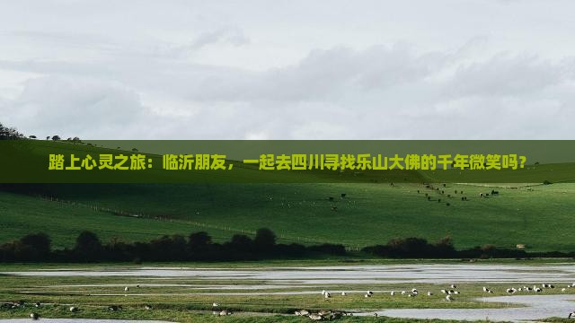 踏上心灵之旅：临沂朋友，一起去四川寻找乐山大佛的千年微笑吗？