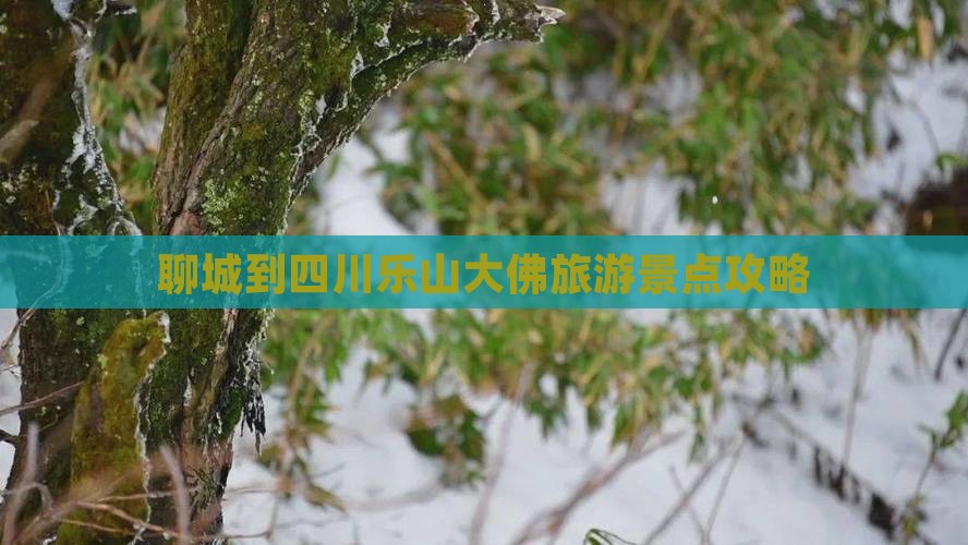 聊城到四川乐山大佛旅游景点攻略