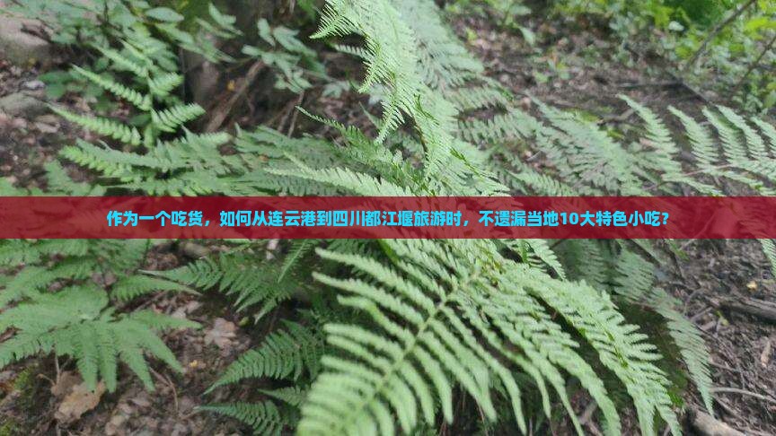 作为一个吃货，如何从连云港到四川都江堰旅游时，不遗漏当地10大特色小吃？
