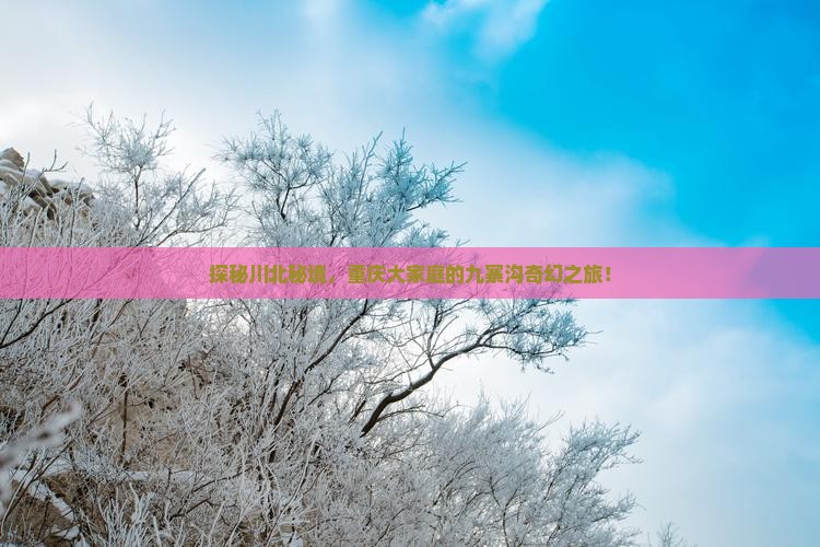 探秘川北秘境，重庆大家庭的九寨沟奇幻之旅！