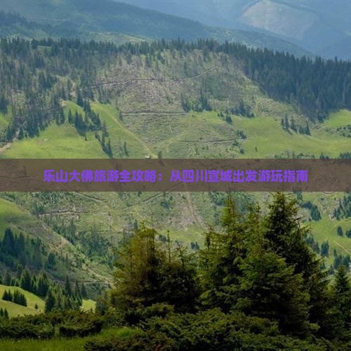 乐山大佛旅游全攻略：从四川宣城出发游玩指南