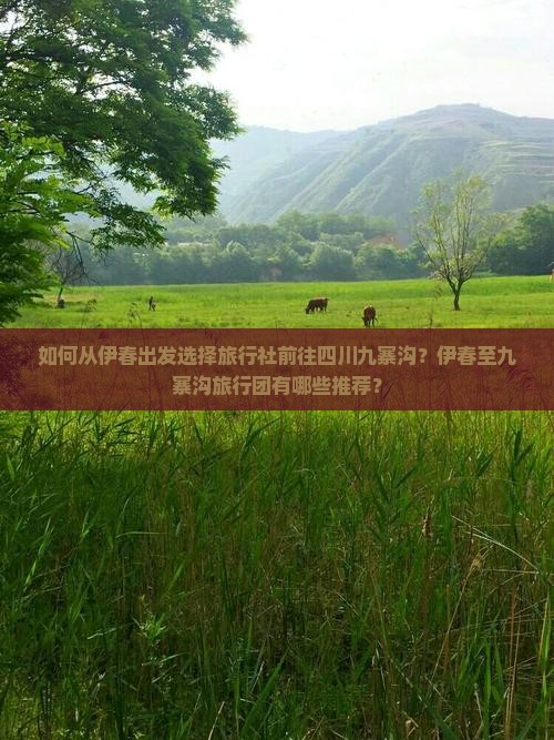 如何从伊春出发选择旅行社前往四川九寨沟？伊春至九寨沟旅行团有哪些推荐？