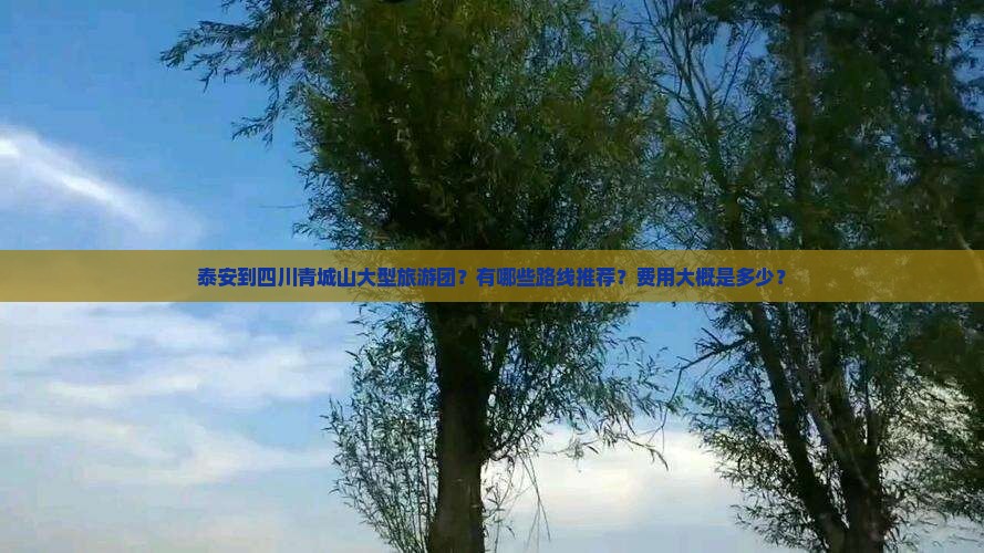 泰安到四川青城山大型旅游团？有哪些路线推荐？费用大概是多少？